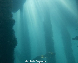 "Let the shine in- taken under one of the many boat piers... by Mark Sagovac 